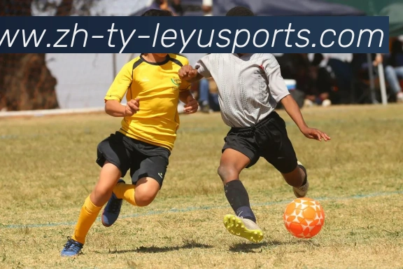 乐鱼体育发展历程